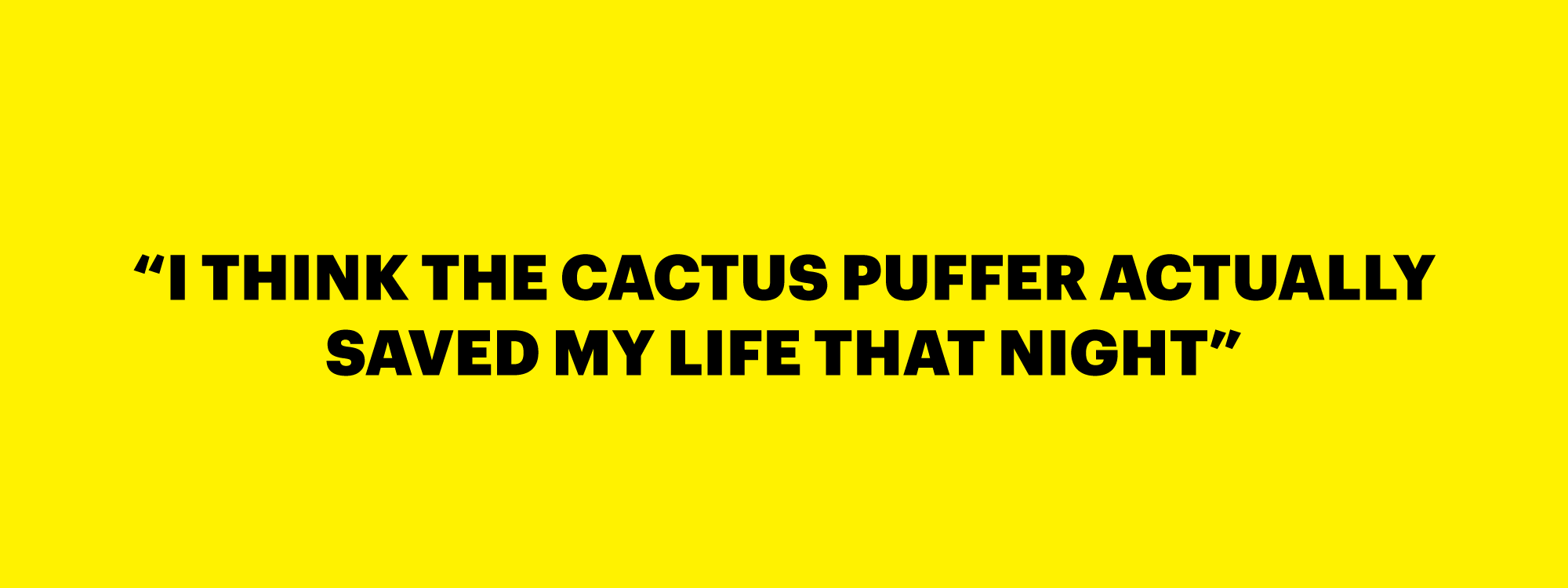 CACTUS IN THE WILD