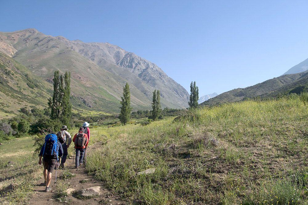 EARTHQUAKES, ROCK AVALANCHES & A CACTUS PACK