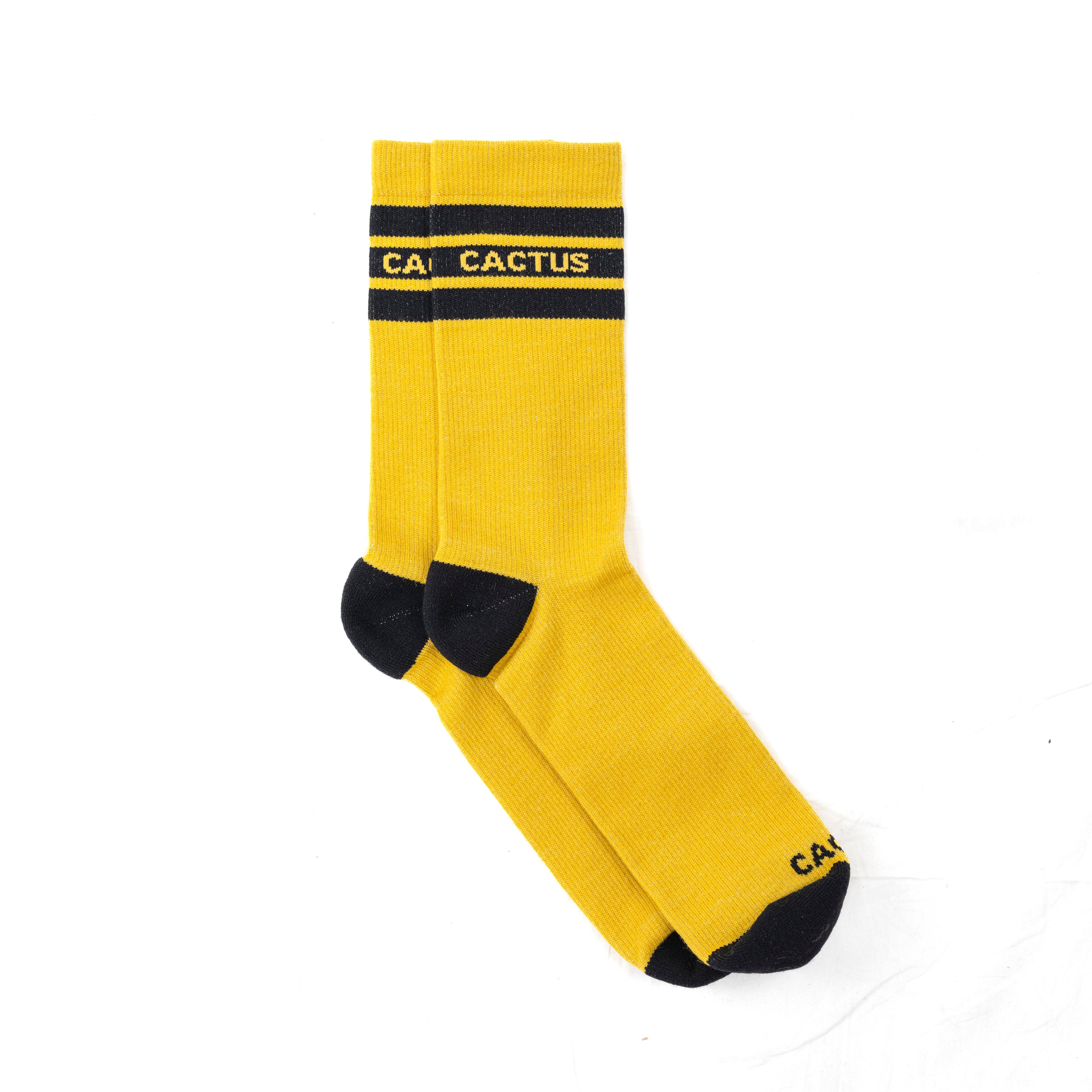 Cactus Baseline Merino Sock