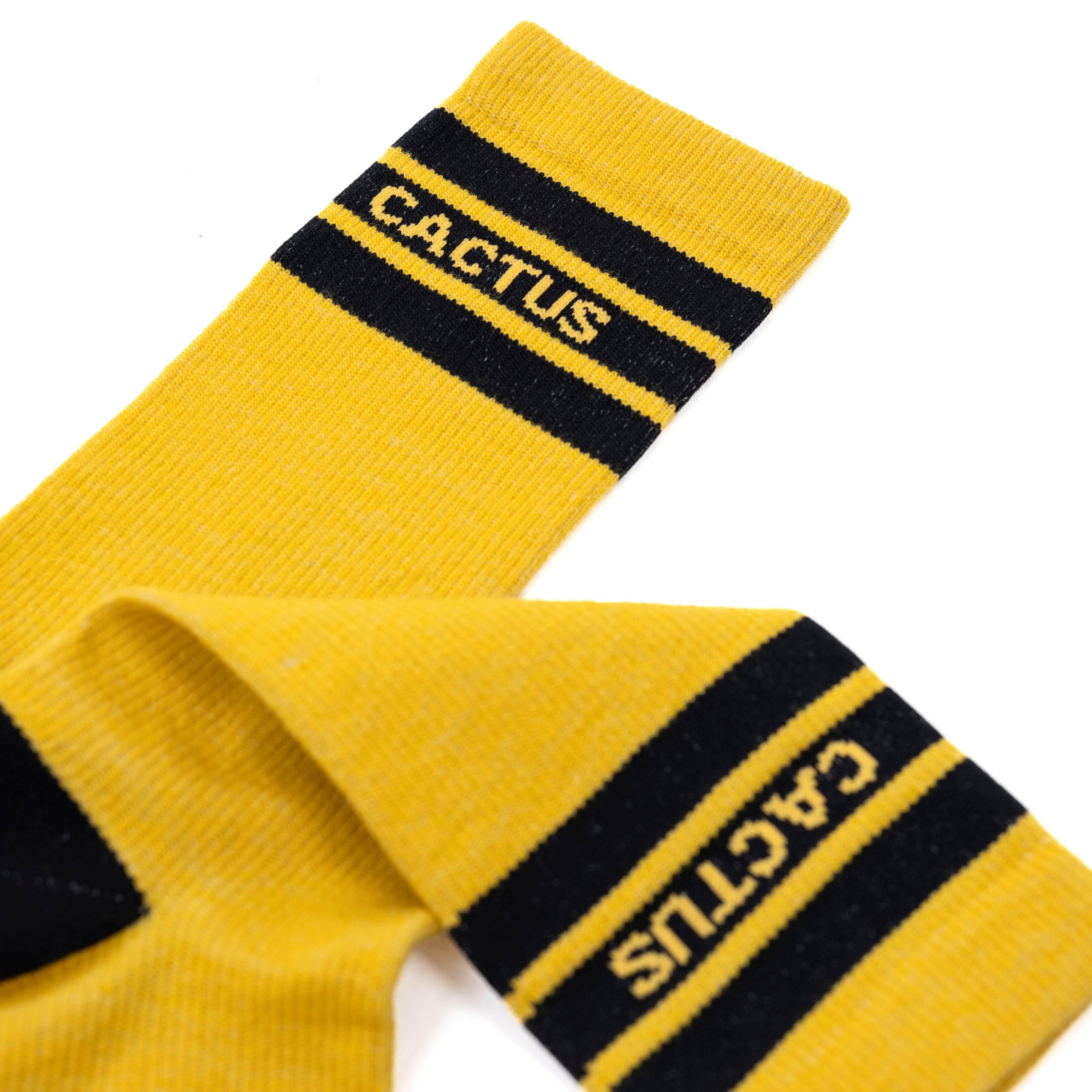 Cactus Baseline Merino Sock