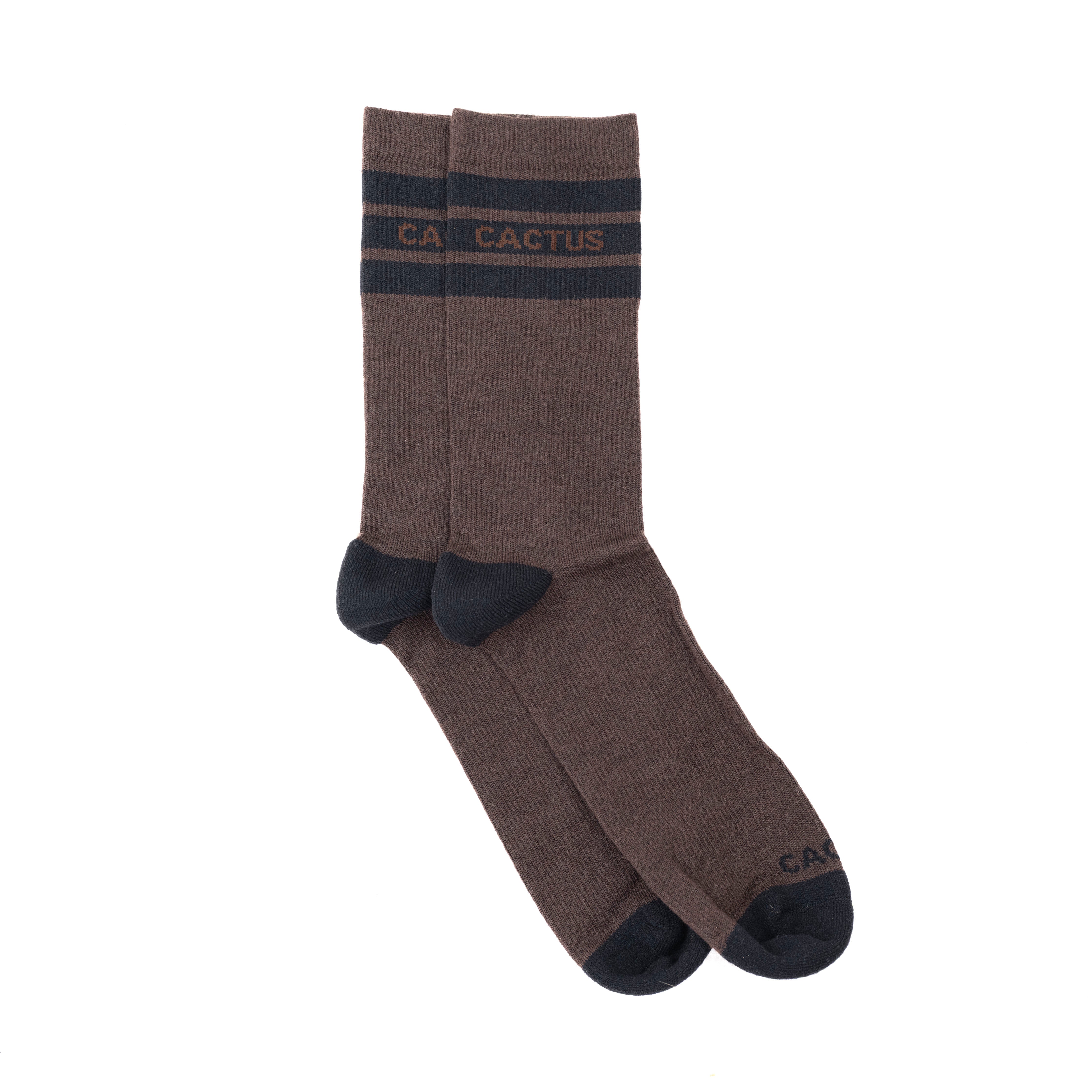 Cactus Baseline Merino Sock