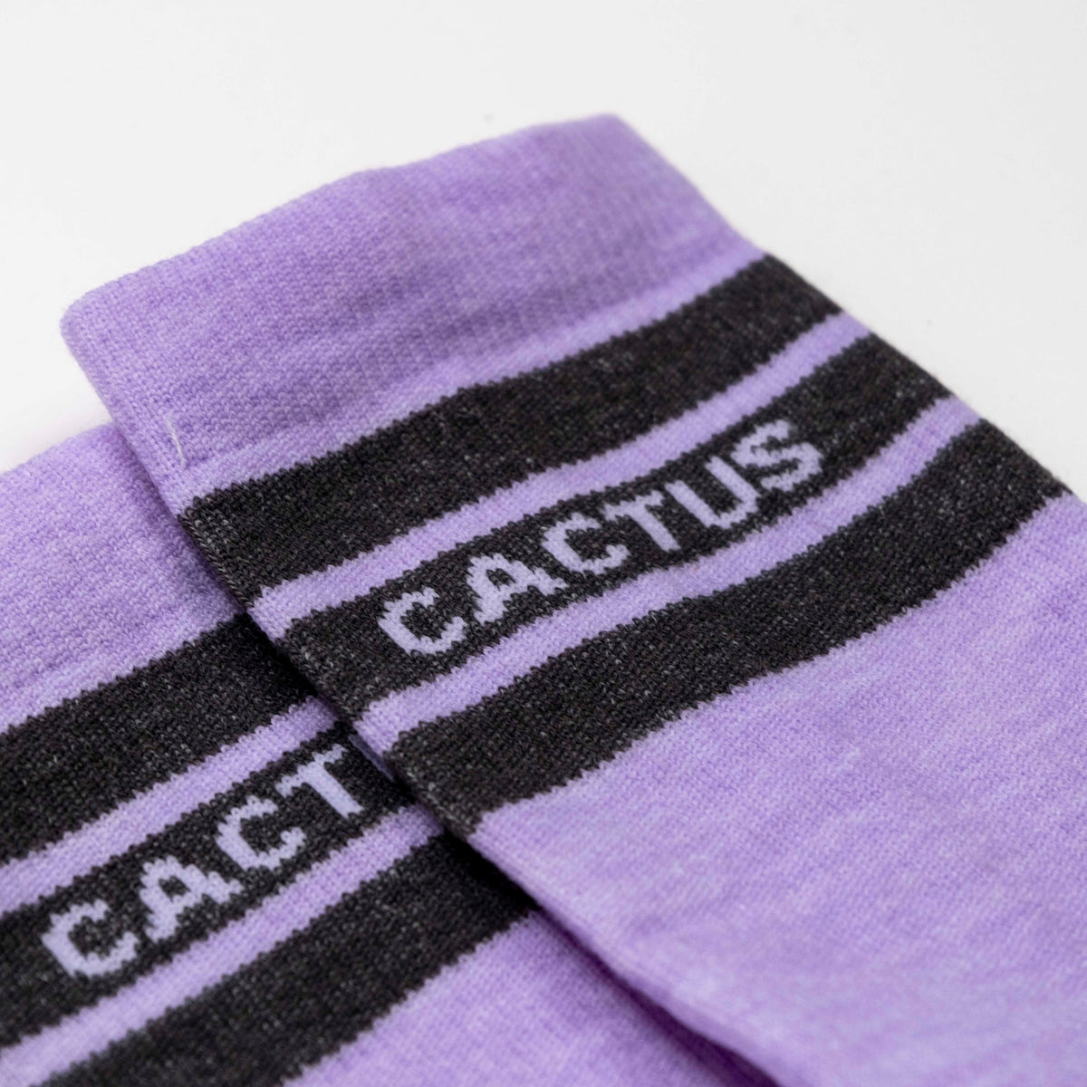 Cactus Baseline Merino Sock