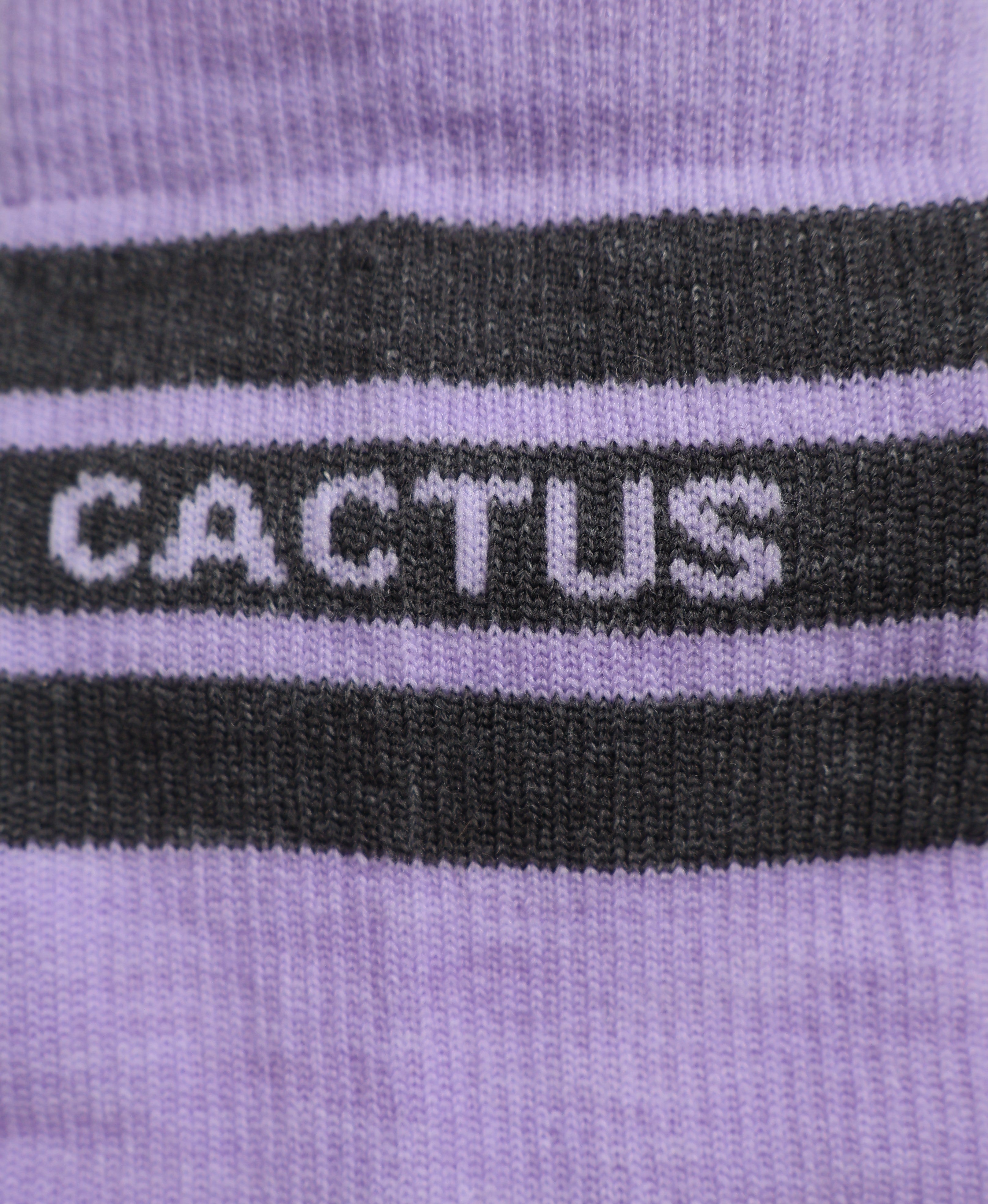Cactus Baseline Merino Sock